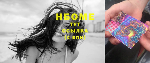 прущие грибы Карталы