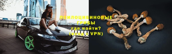 прущие грибы Карталы
