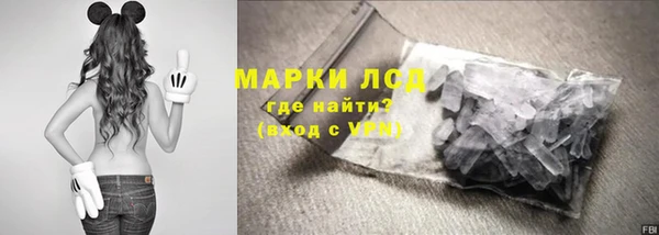 прущие грибы Карталы