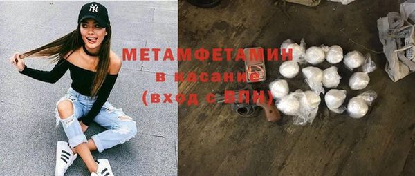 прущие грибы Карталы