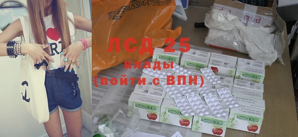 прущие грибы Карталы