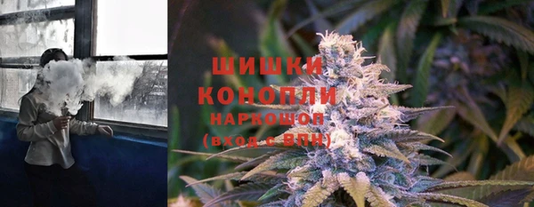 прущие грибы Карталы